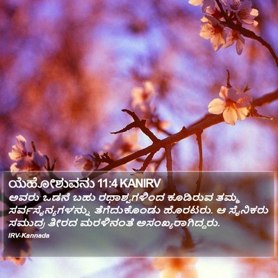 ಯೆಹೋಶುವನು 11:4 KANIRV Bible Verse Image