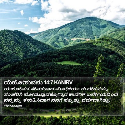 ಯೆಹೋಶುವನು 14:7 KANIRV Bible Verse Image