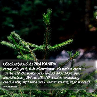 ಯೆಹೋಶುವನು 20:4 KANIRV Bible Verse Image