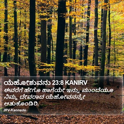 ಯೆಹೋಶುವನು 23:8 KANIRV Bible Verse Image