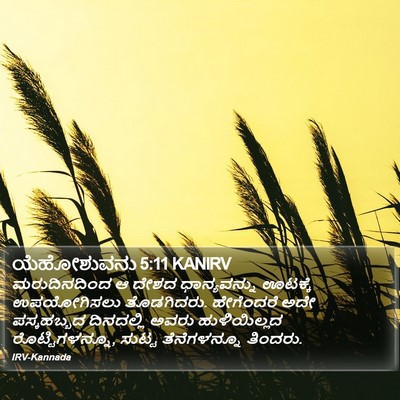 ಯೆಹೋಶುವನು 5:11 KANIRV Bible Verse Image