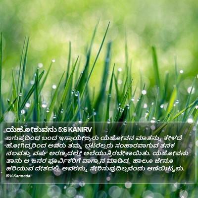 ಯೆಹೋಶುವನು 5:6 KANIRV Bible Verse Image