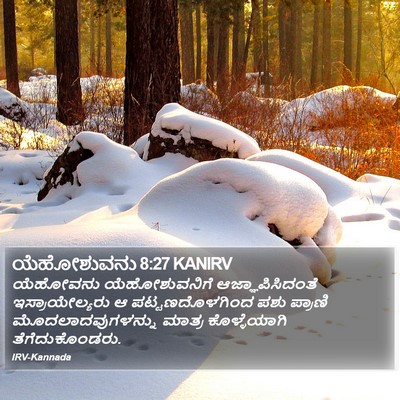ಯೆಹೋಶುವನು 8:27 KANIRV Bible Verse Image