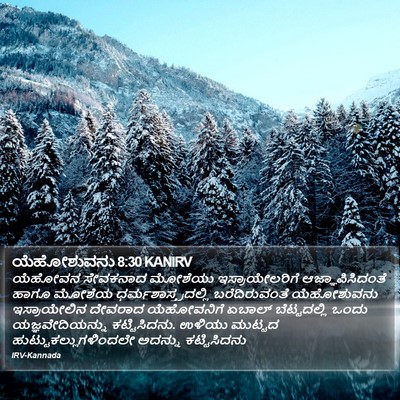 ಯೆಹೋಶುವನು 8:30 KANIRV Bible Verse Image