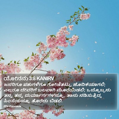 ಯೋನನು 3:8 KANIRV Bible Verse Image