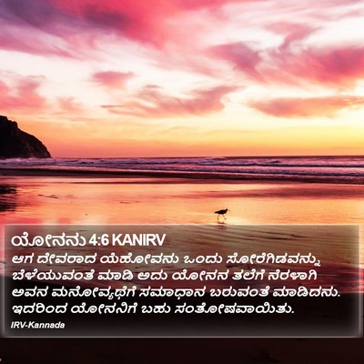 ಯೋನನು 4:6 KANIRV Bible Verse Image