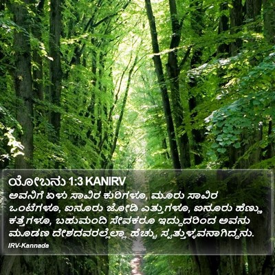 ಯೋಬನು 1:3 KANIRV Bible Verse Image