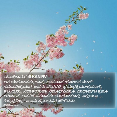 ಯೋಬನು 1:8 KANIRV Bible Verse Image