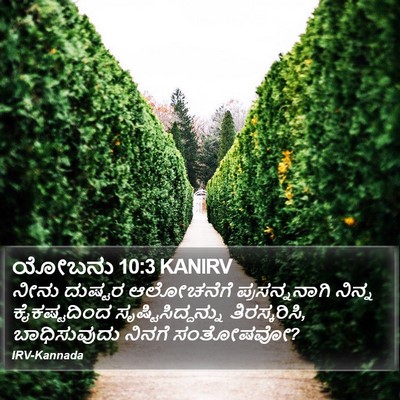 ಯೋಬನು 10:3 KANIRV Bible Verse Image