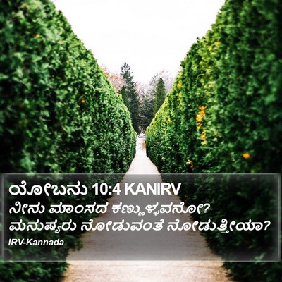 ಯೋಬನು 10:4 KANIRV Bible Verse Image