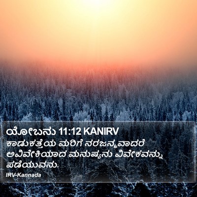 ಯೋಬನು 11:12 KANIRV Bible Verse Image
