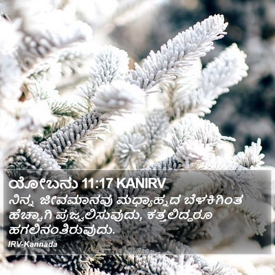 ಯೋಬನು 11:17 KANIRV Bible Verse Image