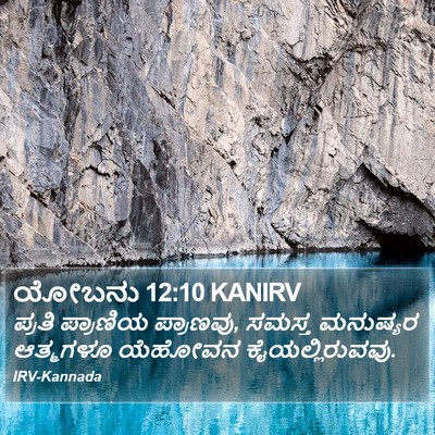 ಯೋಬನು 12:10 KANIRV Bible Verse Image