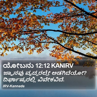 ಯೋಬನು 12:12 KANIRV Bible Verse Image