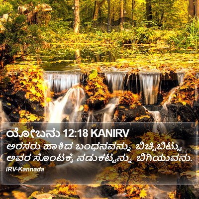 ಯೋಬನು 12:18 KANIRV Bible Verse Image