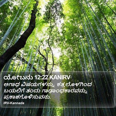 ಯೋಬನು 12:22 KANIRV Bible Verse Image