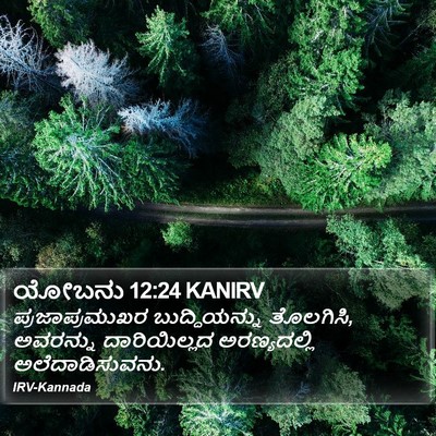 ಯೋಬನು 12:24 KANIRV Bible Verse Image