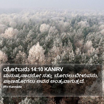 ಯೋಬನು 14:10 KANIRV Bible Verse Image