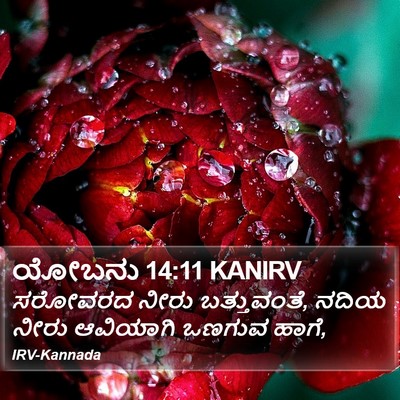 ಯೋಬನು 14:11 KANIRV Bible Verse Image