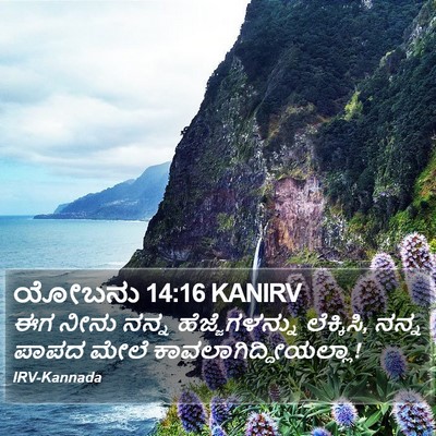 ಯೋಬನು 14:16 KANIRV Bible Verse Image