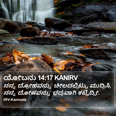 ಯೋಬನು 14:17 KANIRV Bible Verse Image