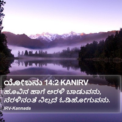 ಯೋಬನು 14:2 KANIRV Bible Verse Image