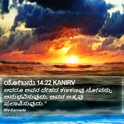 ಯೋಬನು 14:22 KANIRV Bible Verse Image
