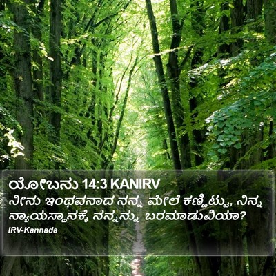 ಯೋಬನು 14:3 KANIRV Bible Verse Image