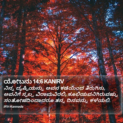 ಯೋಬನು 14:6 KANIRV Bible Verse Image