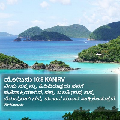 ಯೋಬನು 16:8 KANIRV Bible Verse Image