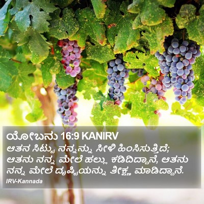 ಯೋಬನು 16:9 KANIRV Bible Verse Image