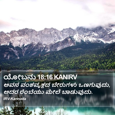 ಯೋಬನು 18:16 KANIRV Bible Verse Image