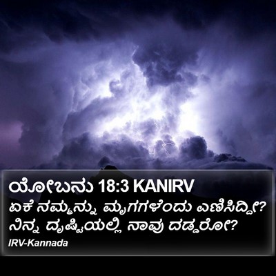 ಯೋಬನು 18:3 KANIRV Bible Verse Image