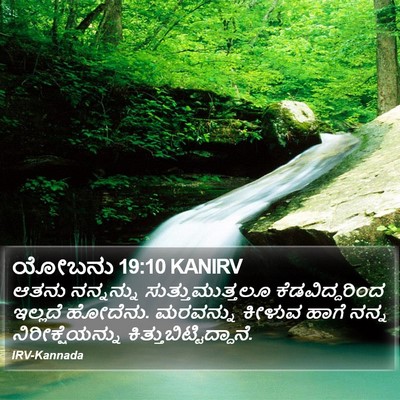 ಯೋಬನು 19:10 KANIRV Bible Verse Image