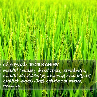 ಯೋಬನು 19:28 KANIRV Bible Verse Image