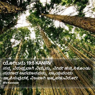 ಯೋಬನು 19:5 KANIRV Bible Verse Image