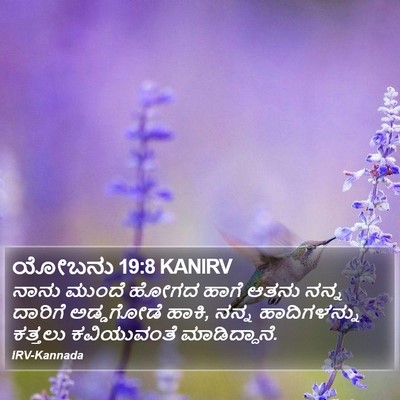 ಯೋಬನು 19:8 KANIRV Bible Verse Image