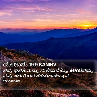 ಯೋಬನು 19:9 KANIRV Bible Verse Image