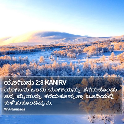 ಯೋಬನು 2:8 KANIRV Bible Verse Image