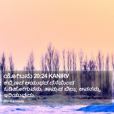 ಯೋಬನು 20:24 KANIRV Bible Verse Image