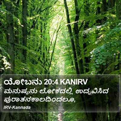 ಯೋಬನು 20:4 KANIRV Bible Verse Image