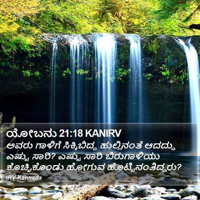 ಯೋಬನು 21:18 KANIRV Bible Verse Image
