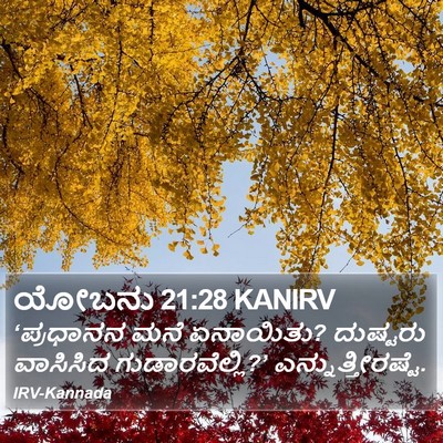 ಯೋಬನು 21:28 KANIRV Bible Verse Image