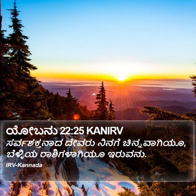 ಯೋಬನು 22:25 KANIRV Bible Verse Image