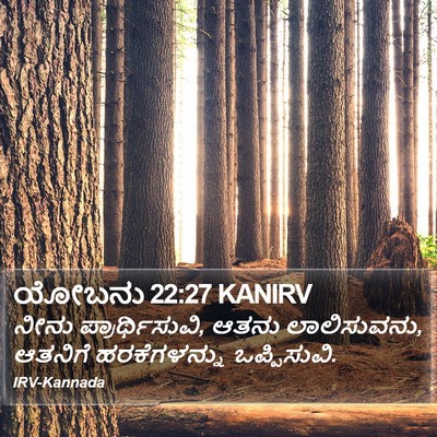 ಯೋಬನು 22:27 KANIRV Bible Verse Image