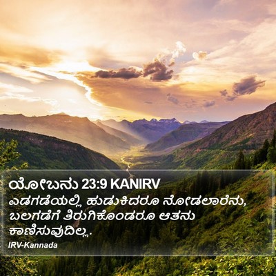 ಯೋಬನು 23:9 KANIRV Bible Verse Image
