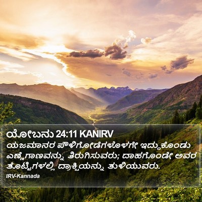 ಯೋಬನು 24:11 KANIRV Bible Verse Image