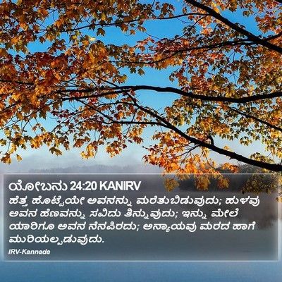 ಯೋಬನು 24:20 KANIRV Bible Verse Image