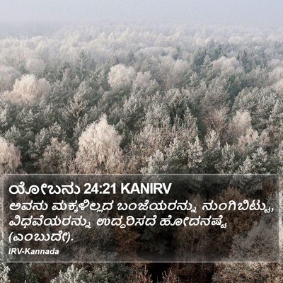 ಯೋಬನು 24:21 KANIRV Bible Verse Image