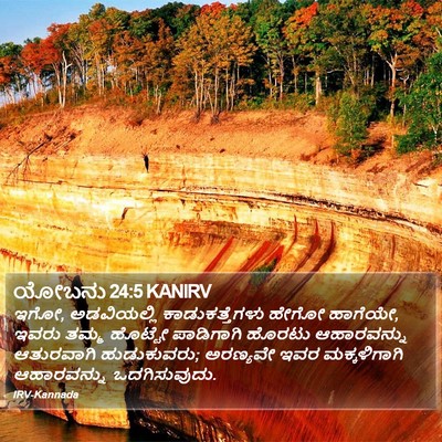 ಯೋಬನು 24:5 KANIRV Bible Verse Image